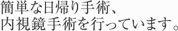 簡単な日帰り手術、内視鏡手術を行っています。